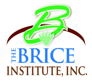 The Brice Institute, Inc.