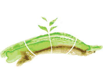 The Grain Place Foundation